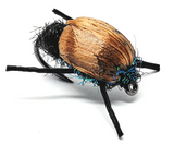 Cochy-Bonddu-Beetle Fly CODE BD77 (S12,14)