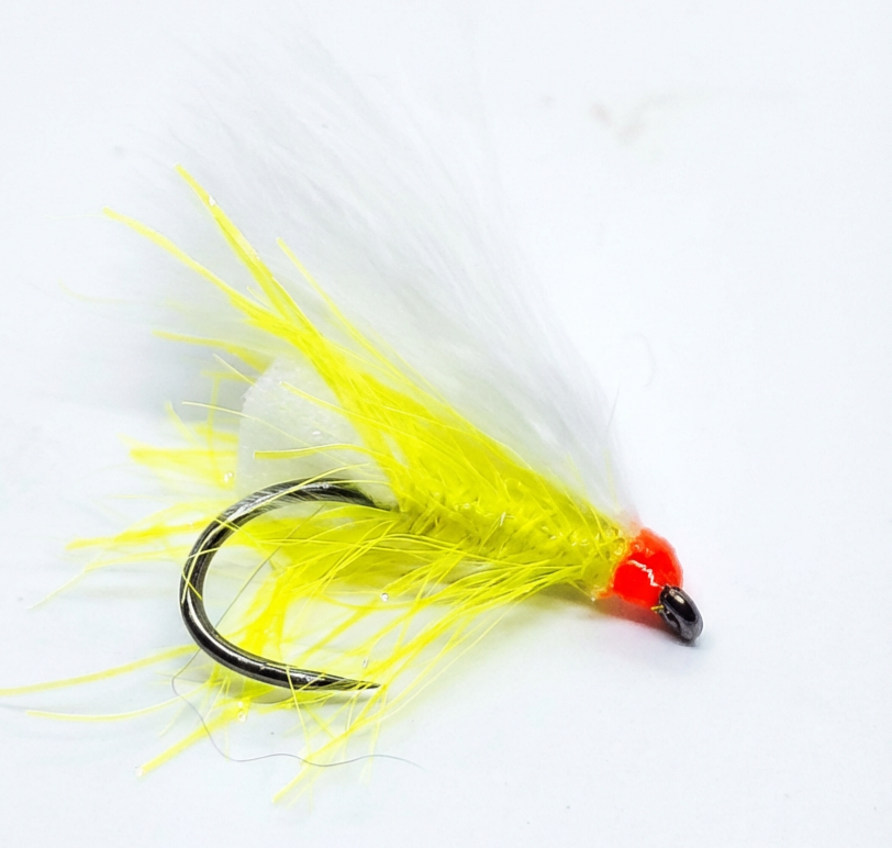 barbless lures for fly fishing 175pcs Hook Kits,Small Size Carp Fishing Hooks Curve Shank Crank and Wide Gape Tying Hooks Circle Hook with Tackle Box Size 2#,4#,6#,8#,10# : Sports & Outdoors The Holographic Rainbow Trout blade Barbless Lures  FlashAttackFlies