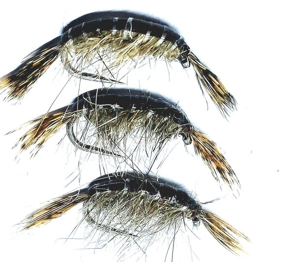 Anglian Waters Forager5 Shrimp Fly CODE HBS14 (s10)