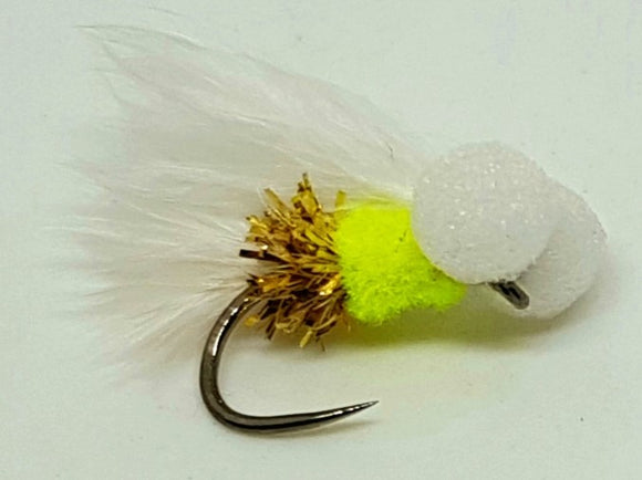 Gold Arsed Menteith Cat Booby CODE BB23 (S10,12)